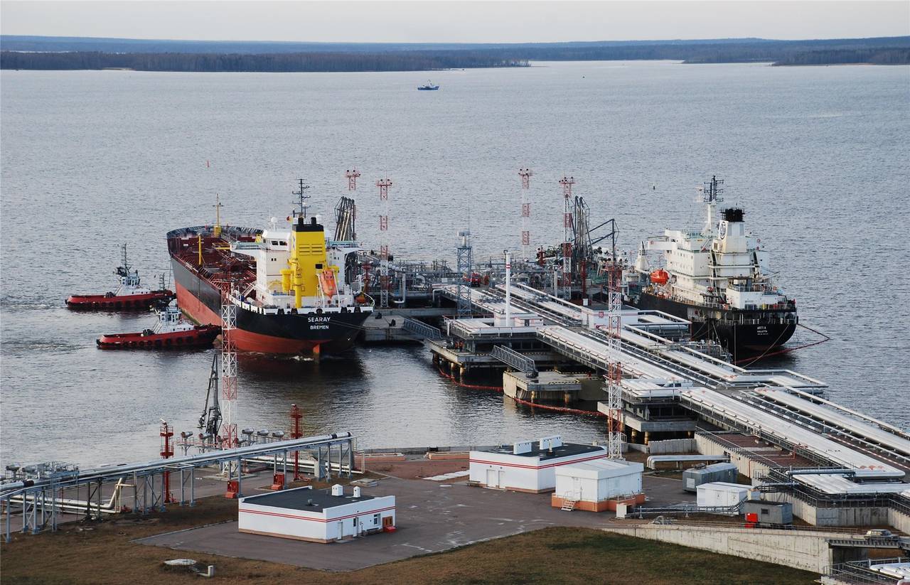 Универсальный порт Ростова будет самым крупным в регионе 