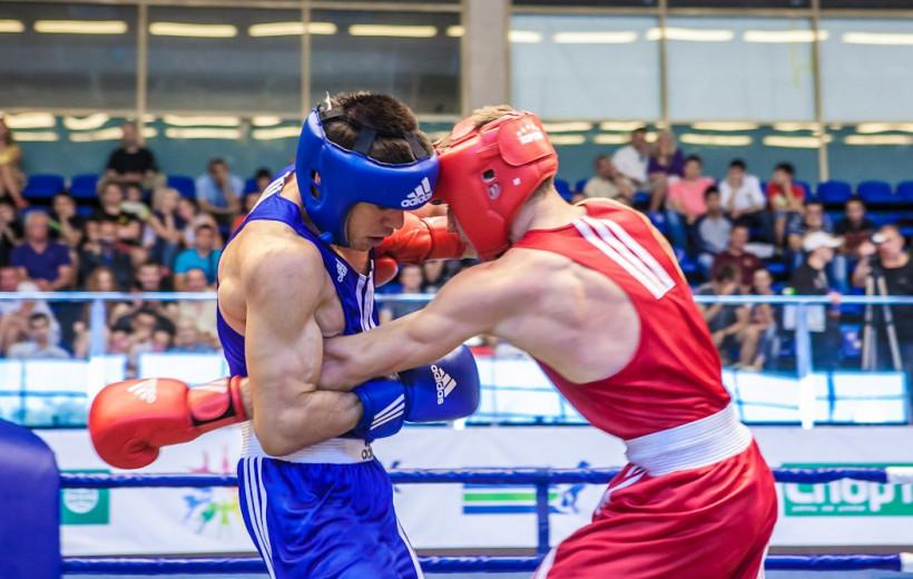 Боксеры из Московской области завоевали два золота и серебро международных соревнований