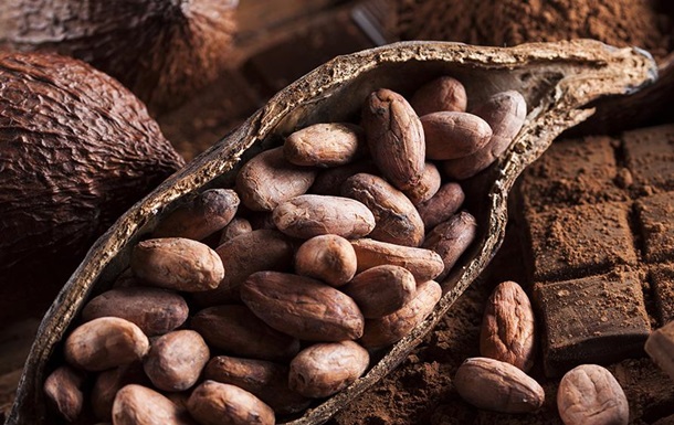 Какао-бобы способны продлить жизнь и избавить от ожирения
