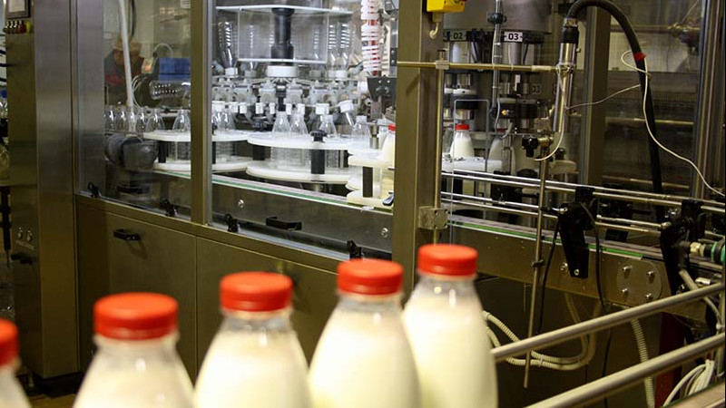 Завод по производству заменителей грудного молока построят в Можайском городском округе
