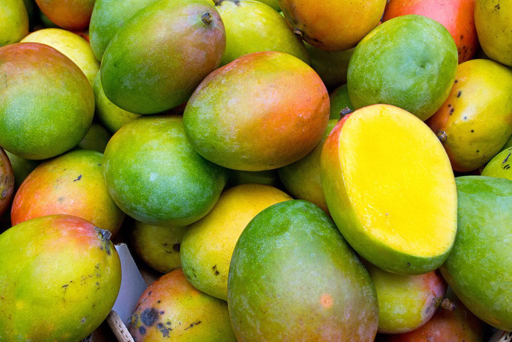 Сертификация манго: правила и особенности процедуры