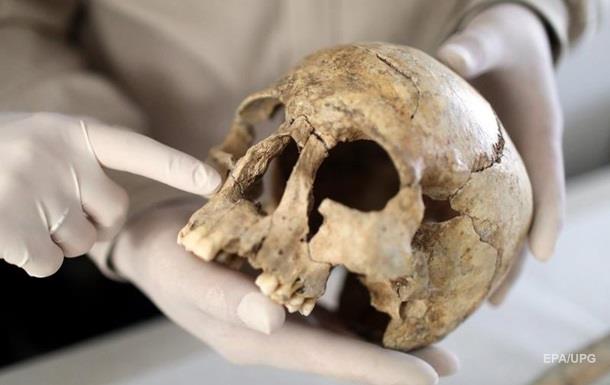 Найден череп древнейшего прачеловека 