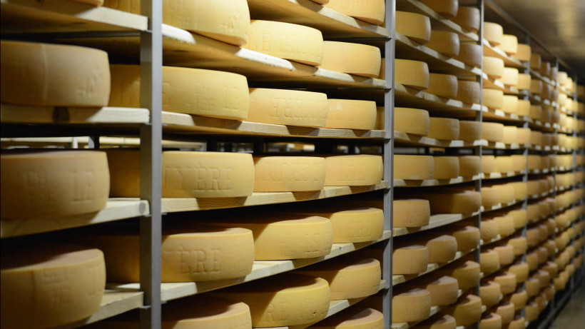 Сырное производство в Швейцарии