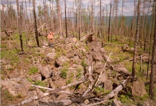Событие приписывается падению на Землю крупного метеорита, впоследствии получившего название Тунгусского, но учёным не удалось обнаружить обломков небесного тела или хотя бы оставшегося от его падения вещества.