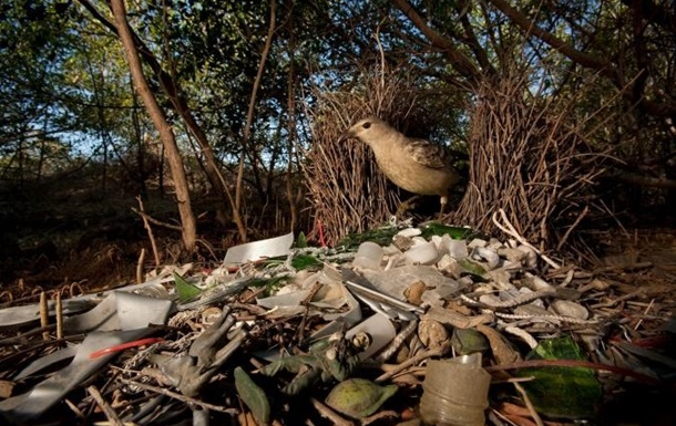 Ученые оценили реальное время распада пластика в природе