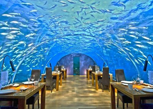 3. Ithaa Undersea Restaurant, Мальдивы Подводный ресторан находится на глубине 5 метров и рассчитан всего на 14 гостей. Благодаря надежной крыше посетителям открывается панорамный обзор в 270 градусов на красоты океана. Гостям предлагается попробовать блюда местной и европейской кухонь, но приходят сюда, конечно же, вовсе не за вкусной едой.