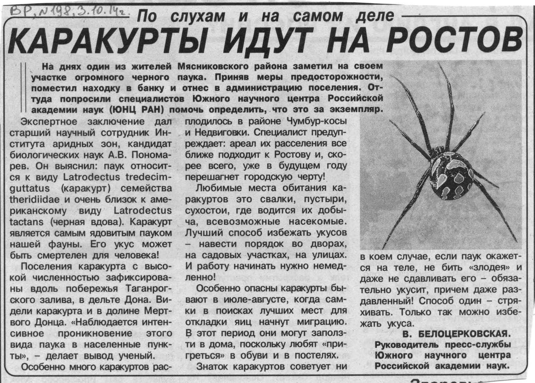 Энтомологи предупреждают население Ростовской области об опасности 
