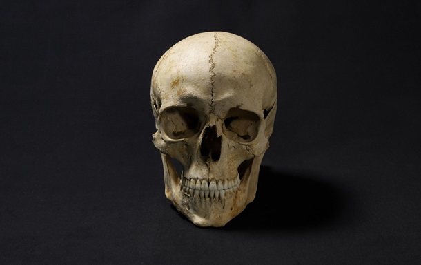 Ученые создали фото древнего человека с помощью его черепа