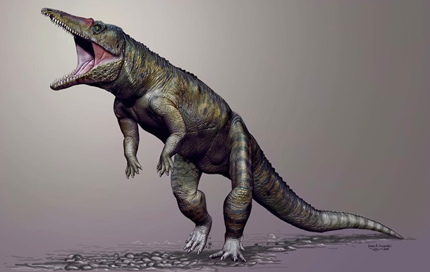 Ученые обнаружили останки древних травоядных крокодилов