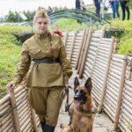 Более 5 тысяч человек посетили День фронтовой собаки в Музее Победы