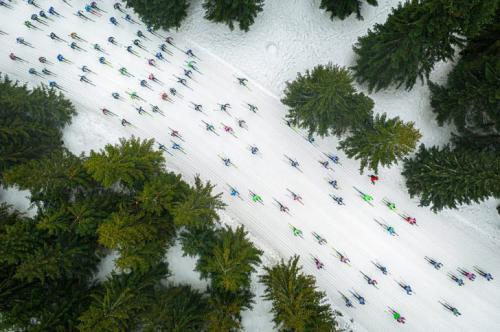 Победители и финалисты Drone Awards 2019: «Аэрофотография года». «Косяк красочных рыбок». Автор фото: Яцек Денека. Фотограф из Польши запечатлел лыжников в гонке на 50 км классическим стилем в рамках лыжного марафона Bieg Piastów («Бег Пястов») в Якушице, Польша.