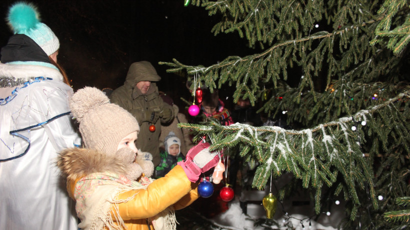Елки установят во дворах Московской области в рамках подготовки к новогодним праздникам