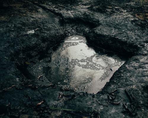 Проблемы начались с развитием нефтяной промышленности: в период с 1976-го по 2001 год произошло в общей сложности 6,8 тысячи разливов нефти в воде, в болотистой местности и на суше — всего около трех миллионов баррелей. Никаких реальных действий по очистке дельты Нигера и восстановлению экосистемы до сих пор не предпринималось.
