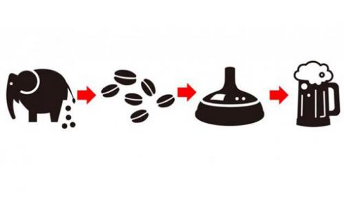 2. Пиво из слоновьих фекалий Un, Kono Kuro Продолжая тему необычных ингредиентов для приготовления напитков, предлагаем пиво из бобов кофе, которые побывали в желудке слона. Японские пивовары решили добавить этот необычный ингредиент в новую партию пива, посвященную празднованию Дня дурака в 2013 году. Пиво в результате получило специфический привкус благодаря разрушению протеинов, которые придают кофе горечь. В 2012 году была попытка приготовить и сам кофе из ферментированных подобным образом бобов.
