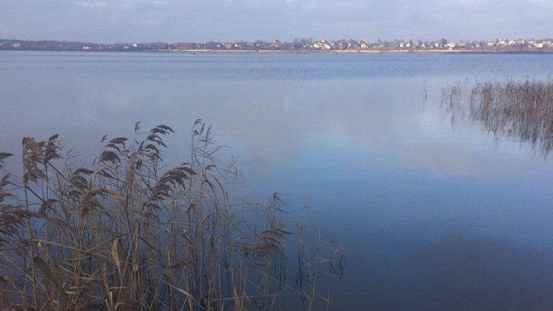 Минэкологии взяло прибрежную зону озера Бисерово в Богородском округе на особый контроль