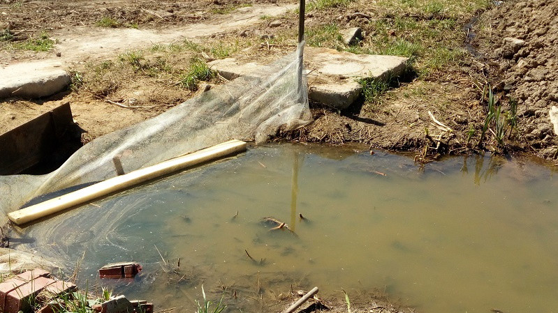 Незаконный сброс сточных вод прекратили по требованию Минэкологии в Наро-Фоминском округе