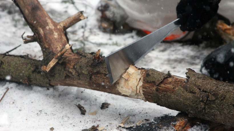 В Московской области в два раза снизились объемы заготовки древесины на дрова за 2019 год
