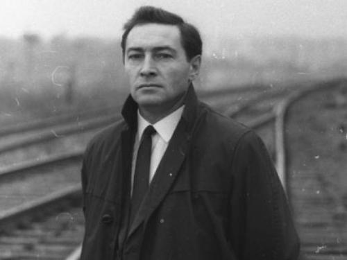 Вячеслав Тихонов, 1928-2009 О встрече с актером в 1979 году узнали многие, так как реакция его на предсказание, полученное от Ванги, была неоднозначной и болезненной. Артиста даже отпаивали валерьянкой. Все произошло следующим образом.