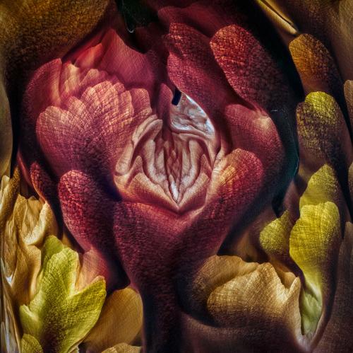 Воздушная абстракция. (Фото Ignacio Palacios, Australia, The Abstract Aerial Award 2019):