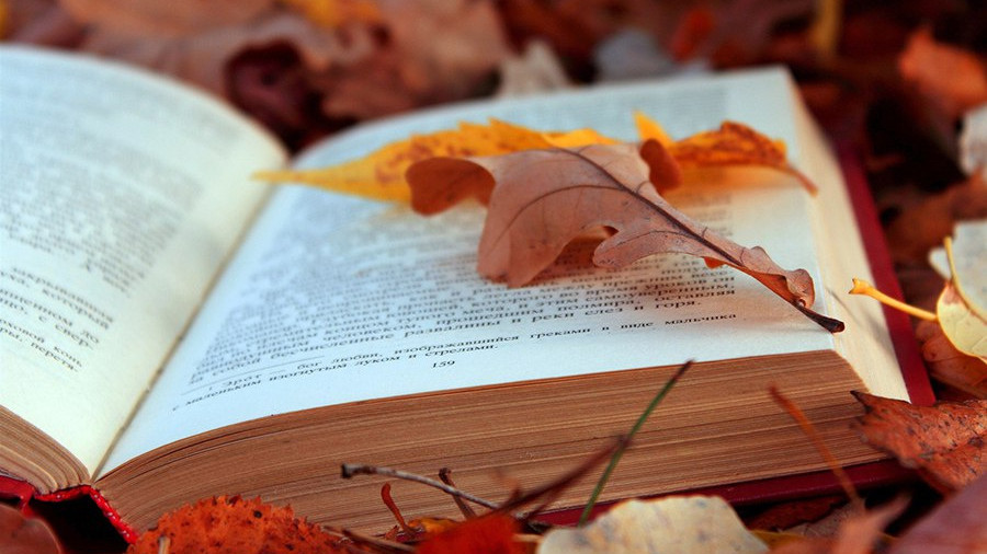 Книга в осенних листьях