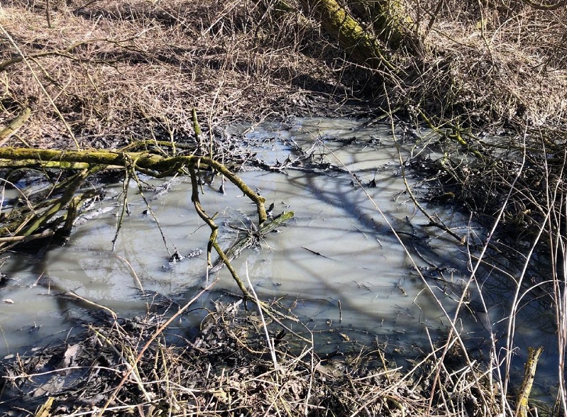 Минэкологии устанавливает виновников загрязнения водных объектов в Клину