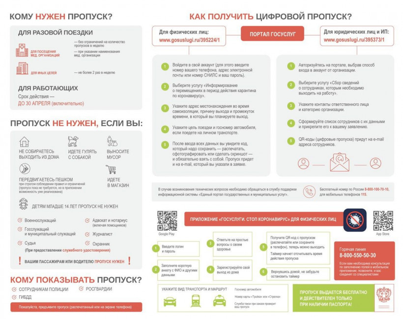 Как получить пропуск в Подмосковье. Инфографика