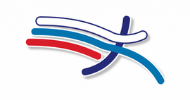 Сформирована комиссия по восстановлению членства Всероссийской федерации лёгкой атлетики в World Athletics