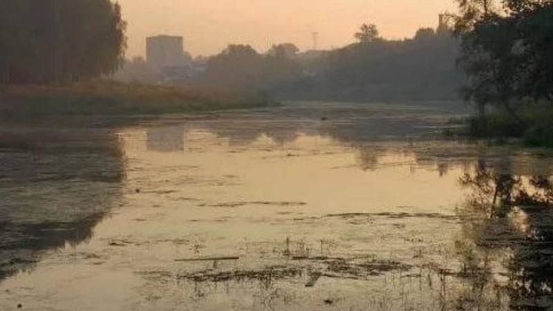 Виновных в загрязнении реки Московка в городском округе Серпухов привлекут к ответственности