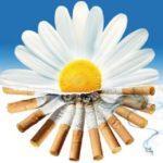 «Курить не модно – дыши свободно!»
