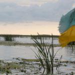 Украина намерена ликвидировать администрации ДНР и ЛНР