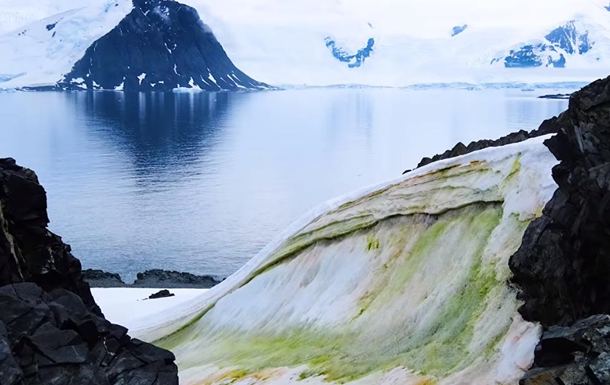В Антарктиде появился зеленый снег 