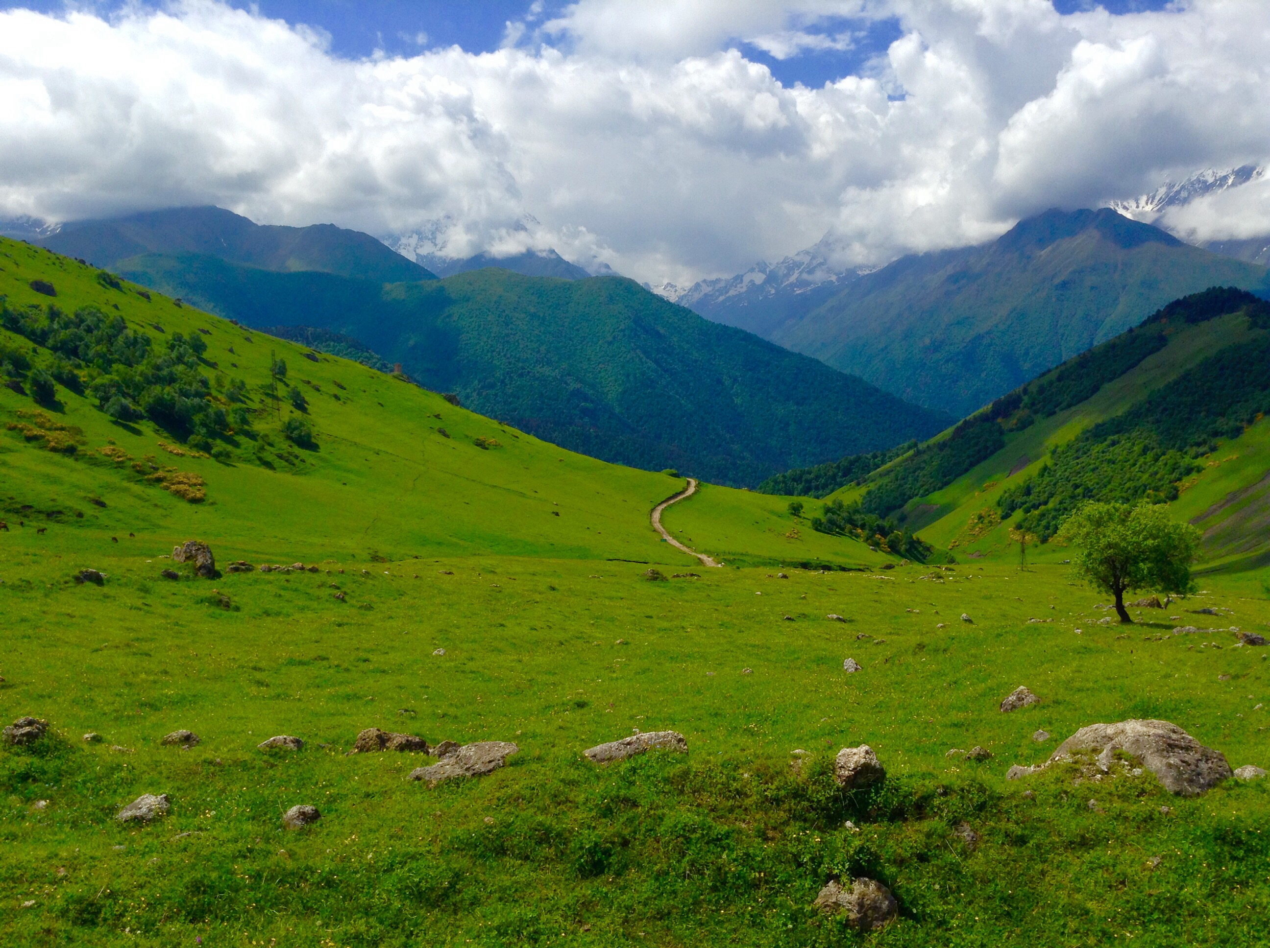 Чечня горы. Горы Чеченской Республики. Казбек Ингушетия. Ландшафт Чечни. Чеченские горы.