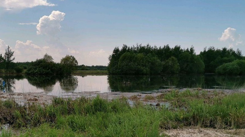 Системы водоотведения в Талдомском округе обследуют во избежание загрязнения рек