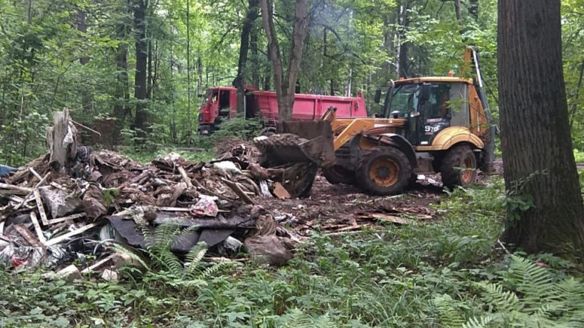 Свыше 450 кубометров строительного и бытового мусора вывезли из лесов Подмосковья за неделю