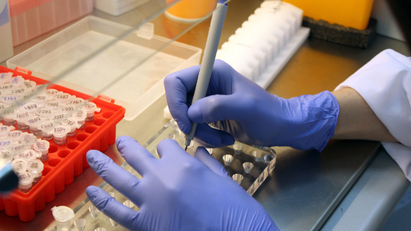 В 24 округах Подмосковья за сутки не выявили ни одного случая коронавируса
