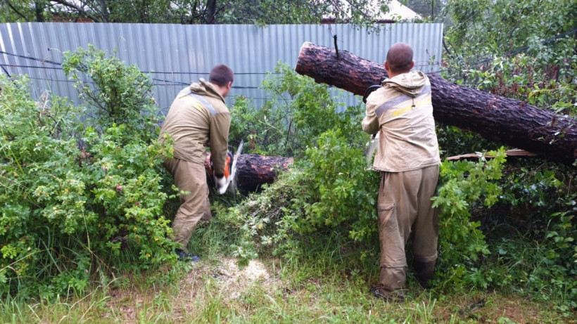 Жителю Луховиц помогли убрать упавшие деревья с участка