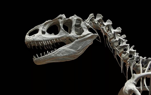Ученые открыли новый вид динозавров