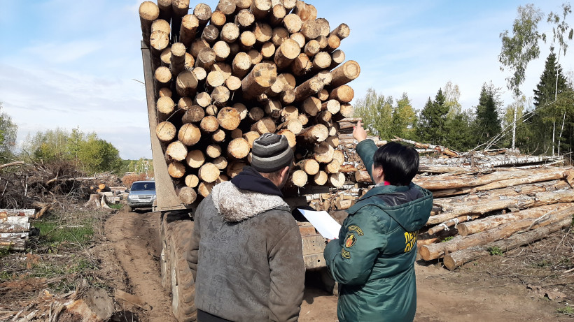 Рейды по контролю за транспортировкой древесины проводятся в Подмосковье