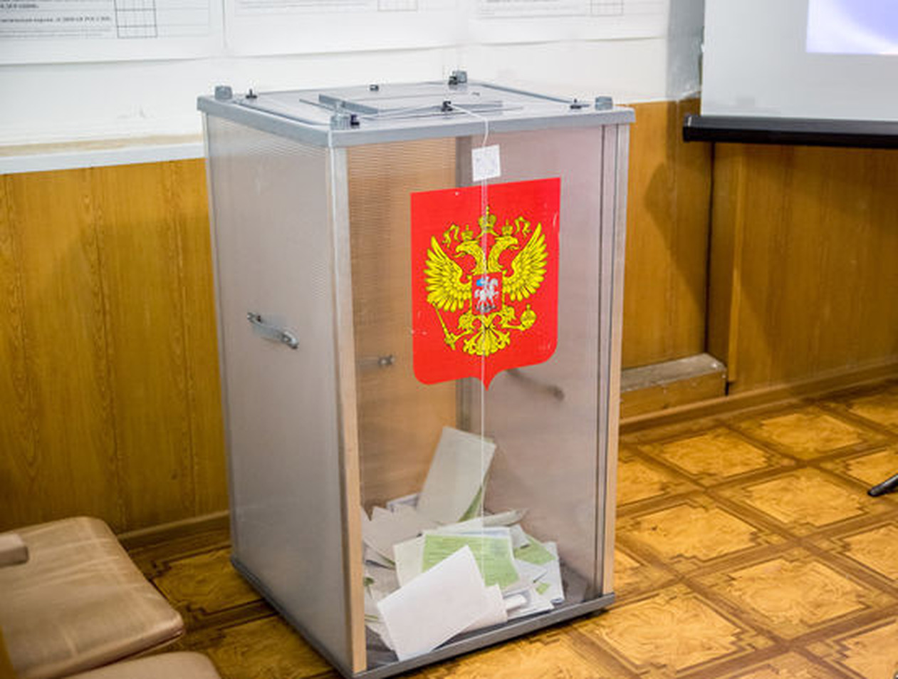 Выборы в сентябре 2020 года в России: назван регион с самой большой явкой