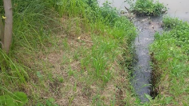 Сброс сточных вод в ручей Неумейку в Подольске прекратили по требованию Минэкологии