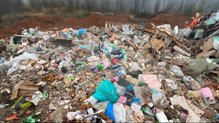 Свалка мусора в Дмитровском округе