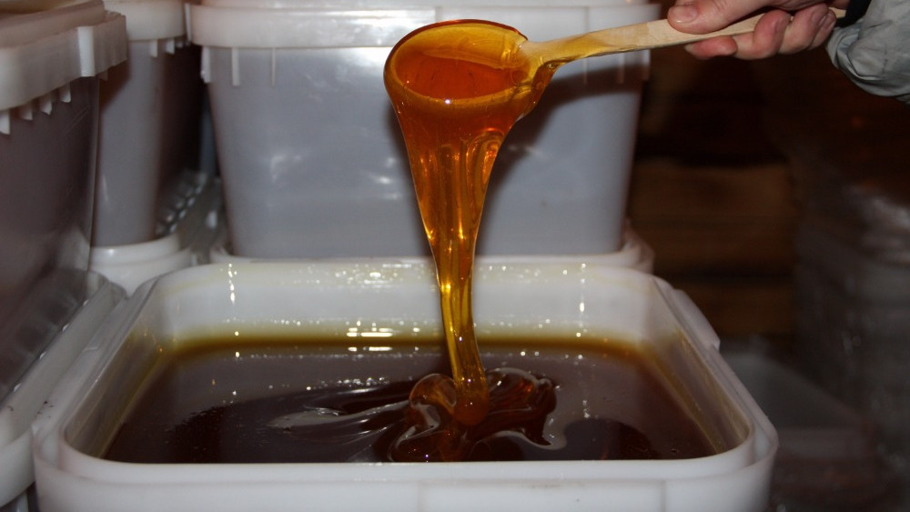 Более 1,5 тыс. исследований проб меда и продуктов пчеловодства провели в Подмосковье