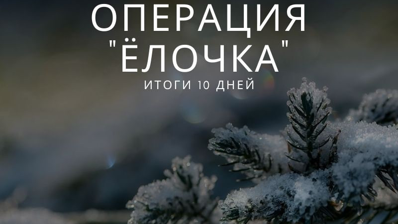 Десять фактов незаконной рубки елей выявили в Подмосковье
