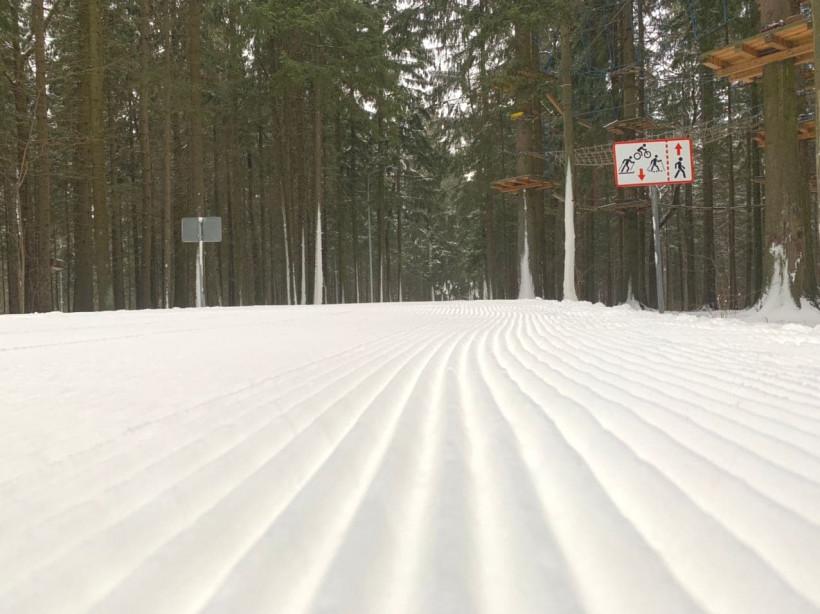 В Одинцовском парке открыли лыжную трассу длиной 2,5 км