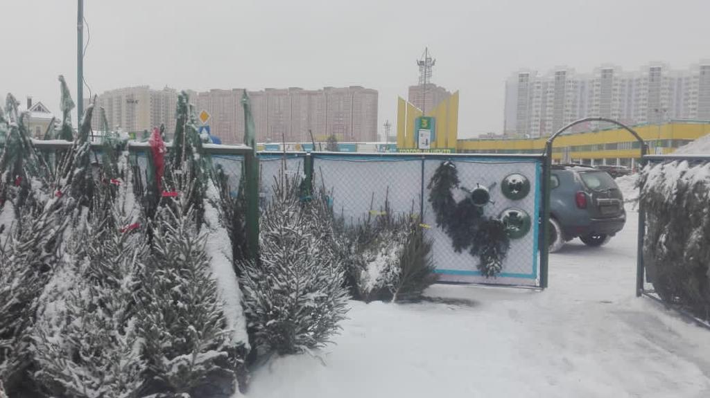 Елочный базар