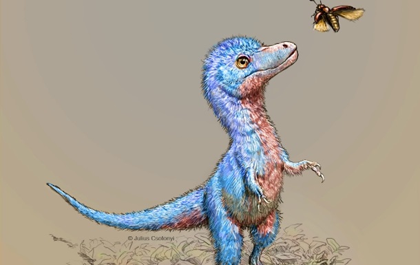 Ученые восстановили облик детенышей тиранозавров 