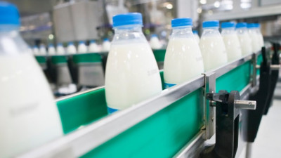 Добровольная маркировка молочной продукции началась в Подмосковье