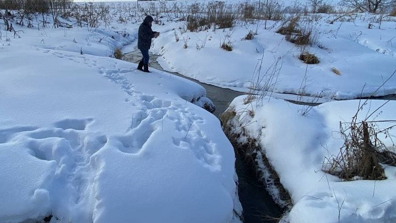 Источник загрязнения реки Городни ликвидировали в Волоколамском округе