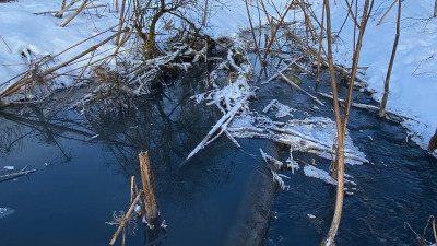 Новый случай загрязнения водоема выявили в Солнечногорске