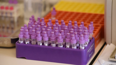 Порядка 360 новых случаев заражения коронавирусом выявили в Подмосковья за сутки